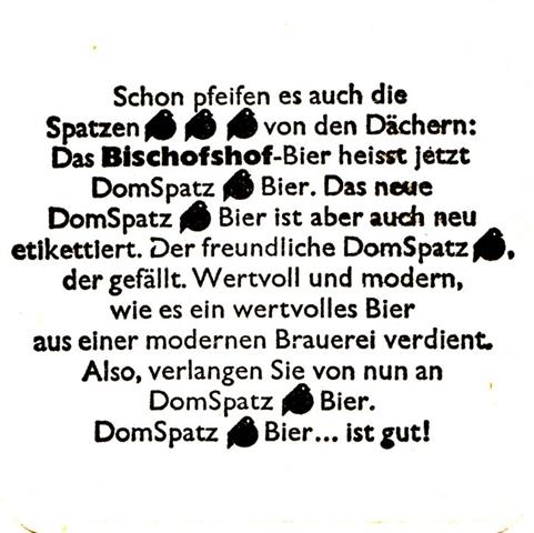 regensburg r-by bischofs dom quad 2b (185-schon pfeifen-schwarz)